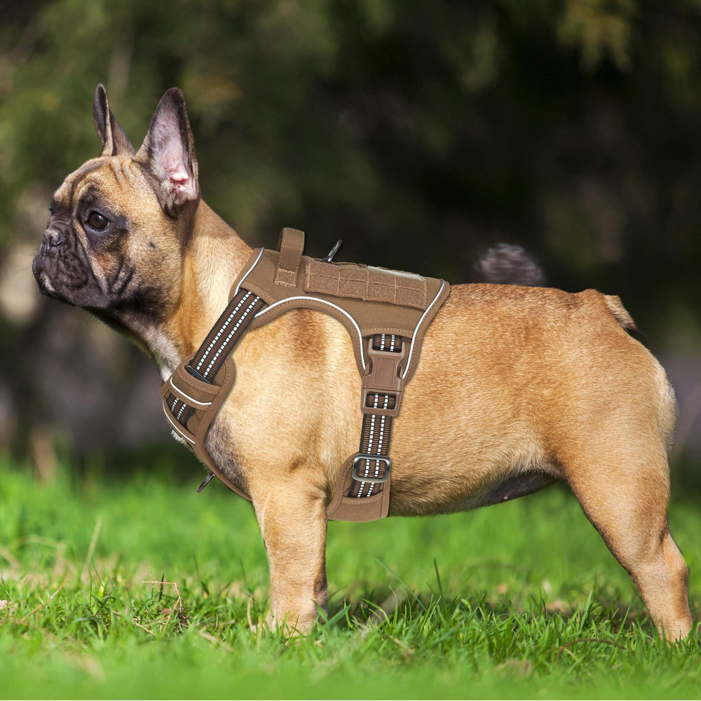 Beebiepet gros plan coutures renforcées garantissant durabilité