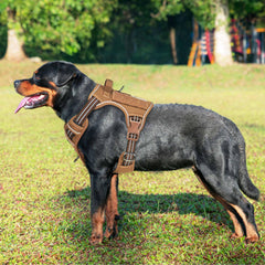Beebiepet harnais détail Molle permettant ajouter accessoires pratiques