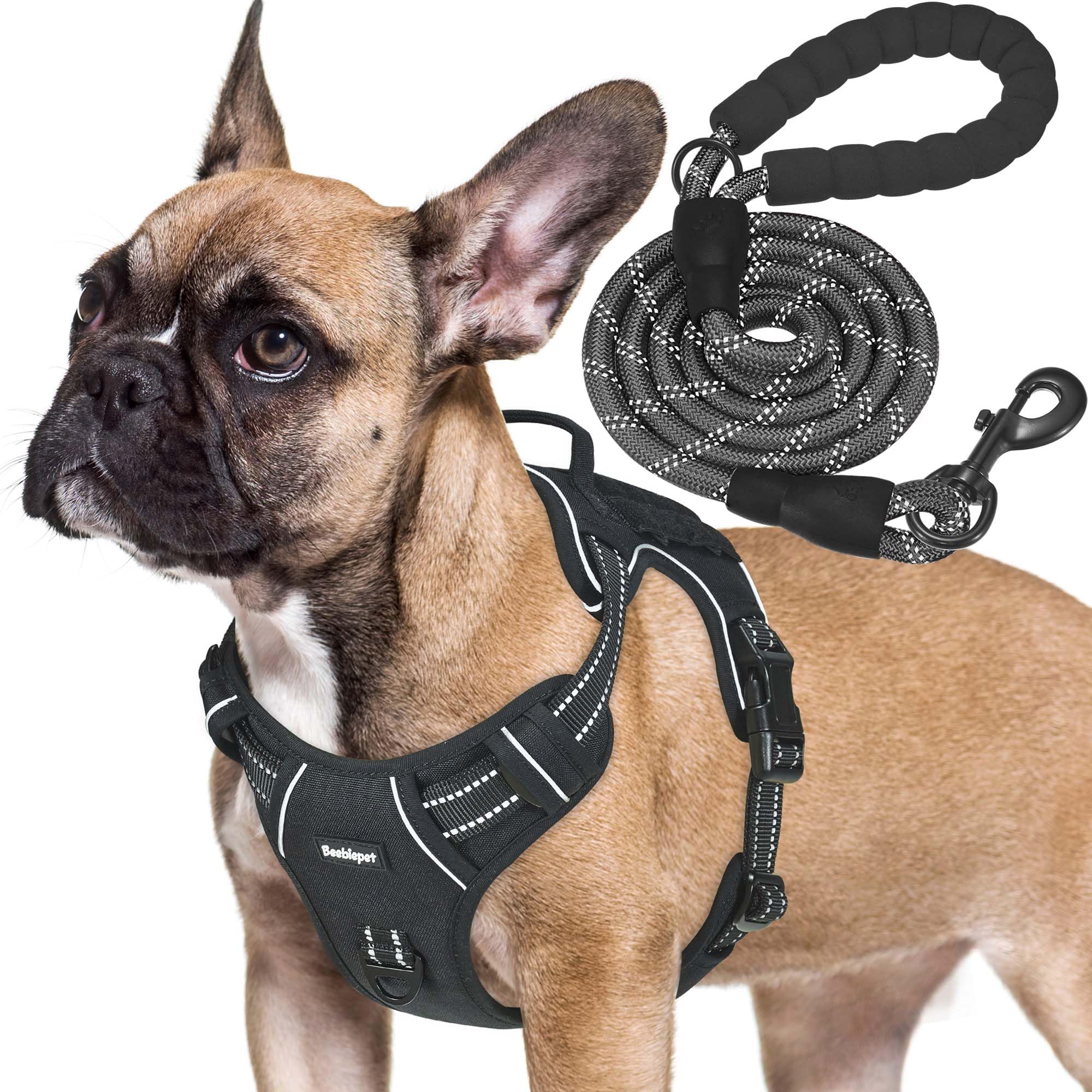 Beebiepet harnais face avant montrant maintien robuste pour contrôle