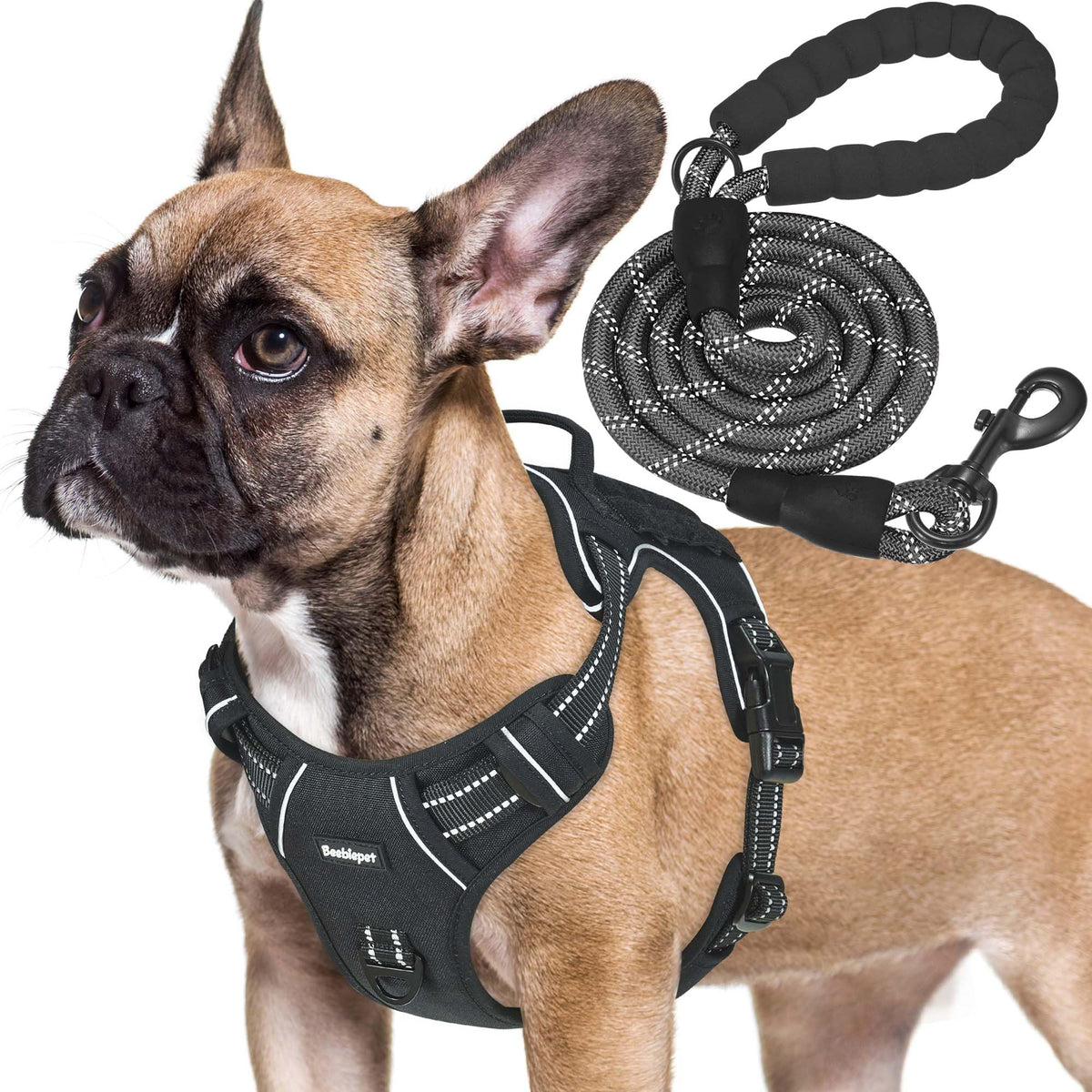 Beebiepet harnais face avant montrant maintien robuste pour contrôle