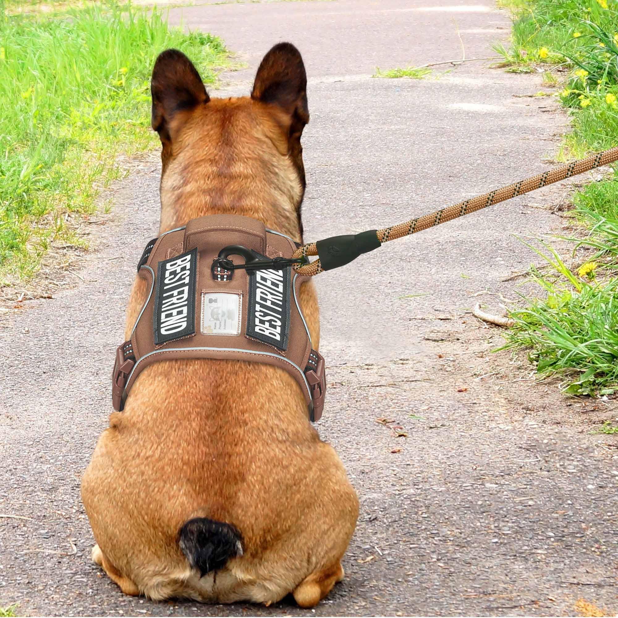 Beebiepet vues bandes MOLLE latérales permettant rangement pratique