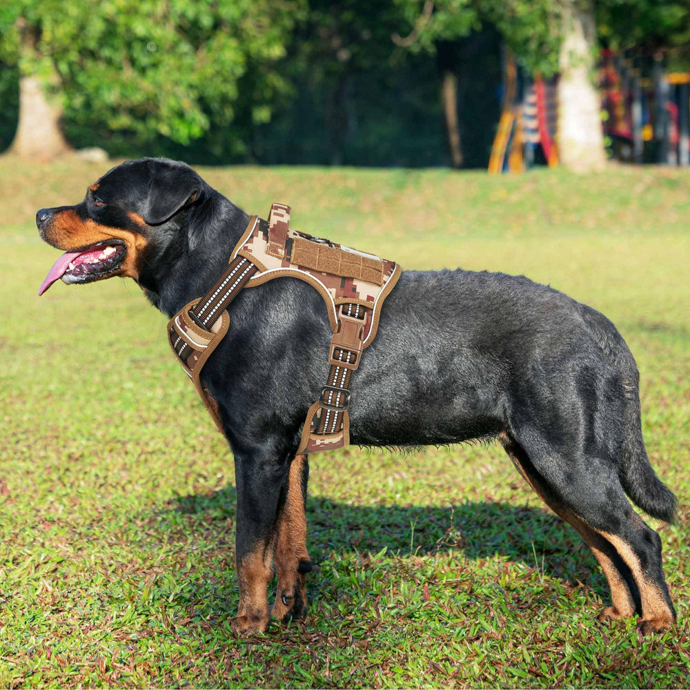 Beebiepet détail Molle latéral permettant d’ajouter équipements pratiques en sortie