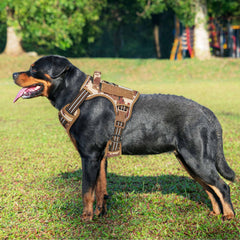 Beebiepet détail Molle latéral permettant d’ajouter équipements pratiques en sortie