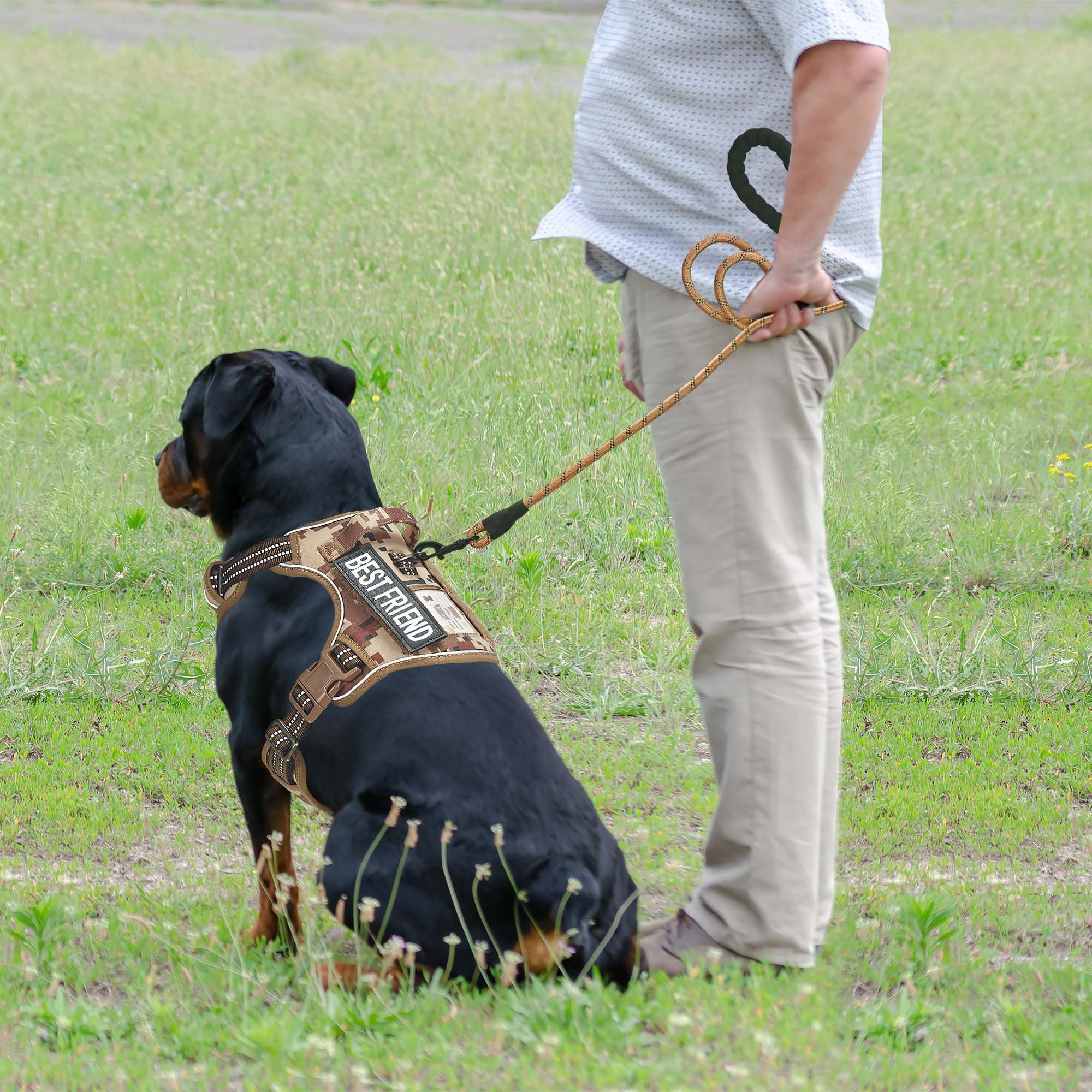 Beebiepet harnais détail MOLLE et coutures renforcées pour durabilité