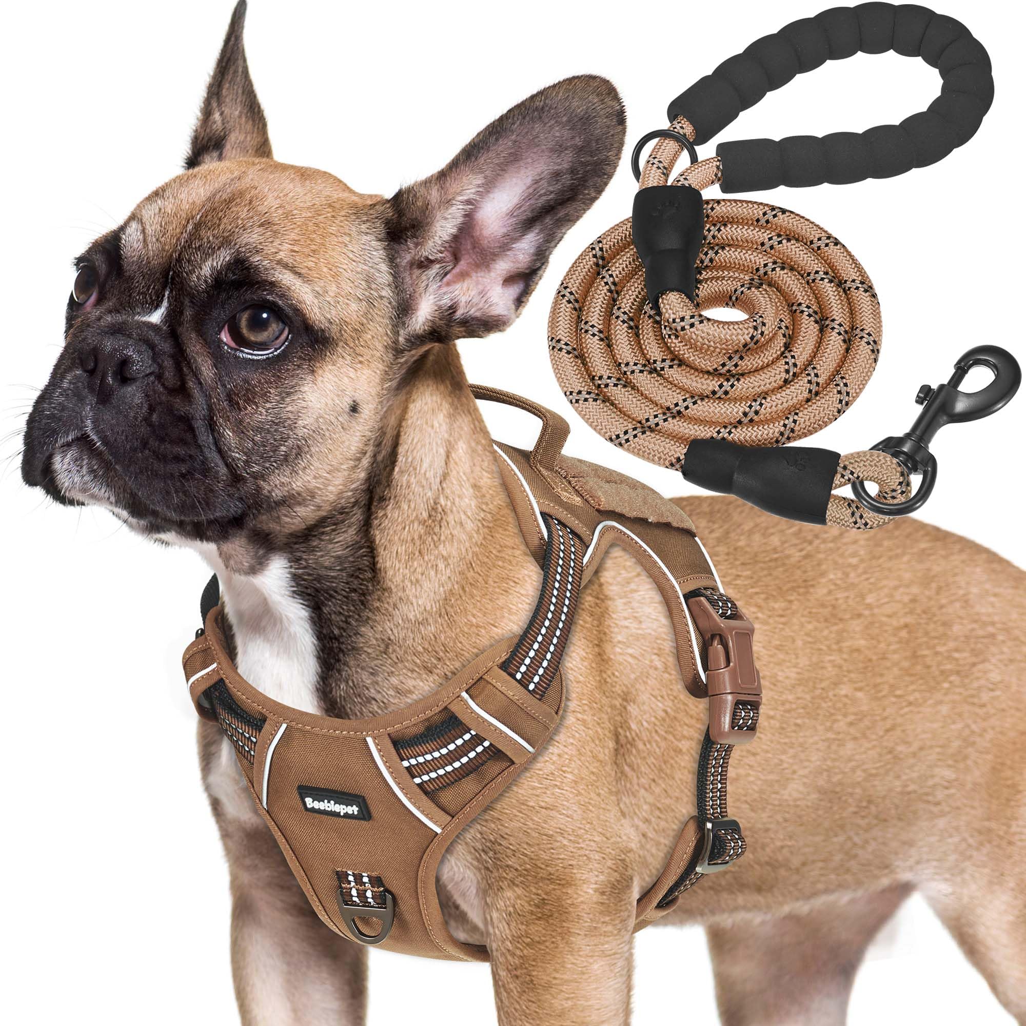 Beebiepet harnais vue face montrant attache et confort