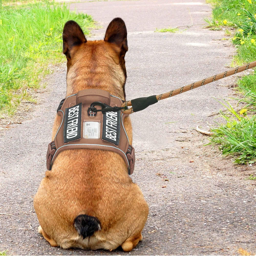 Beebiepet détail Molle latéral permettant ajout d'accessoires