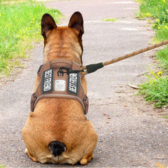 Beebiepet détail Molle latéral permettant ajout d'accessoires