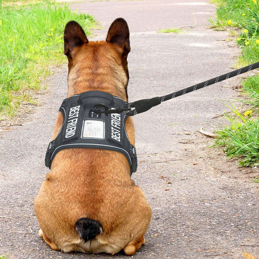 Beebiepet bande Molle latérale prête à recevoir pochettes utiles