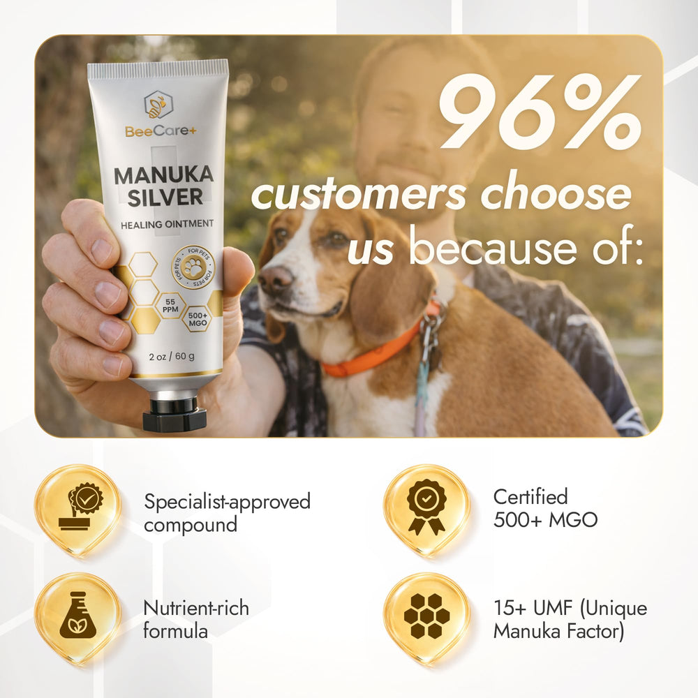 BeeCare+ étiquette lisible indiquant Manuka 500+ MGO et Argent 55 ppm