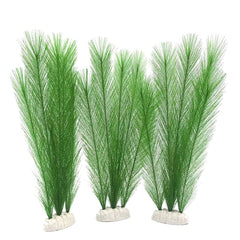 BEGONDIS plante face verte vive pour décoration, embelli l'aquarium