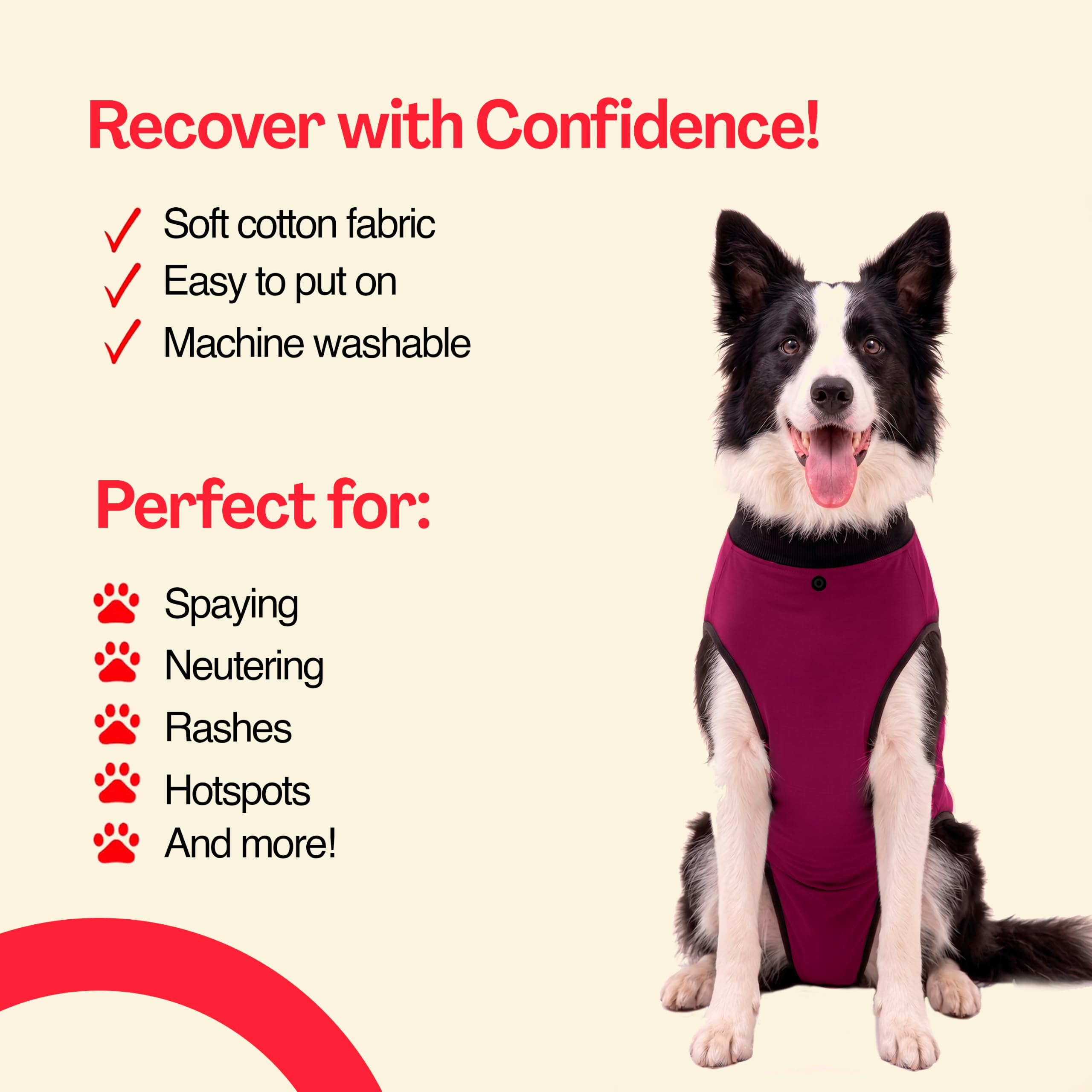 Chien allongé avec BellyGuard confort apaisant pendant récupération