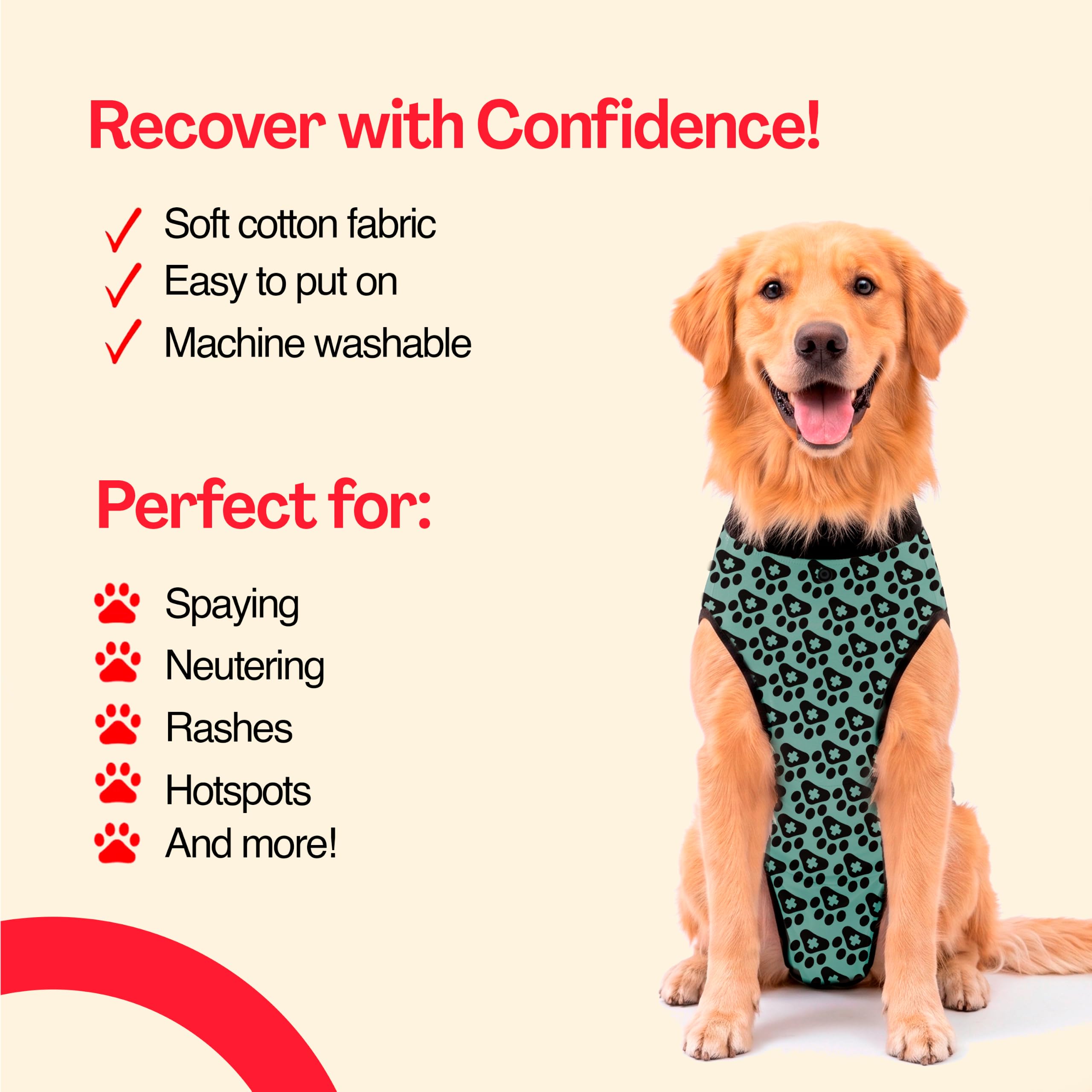 BellyGuard chien en mouvement sans gêne après chirurgie