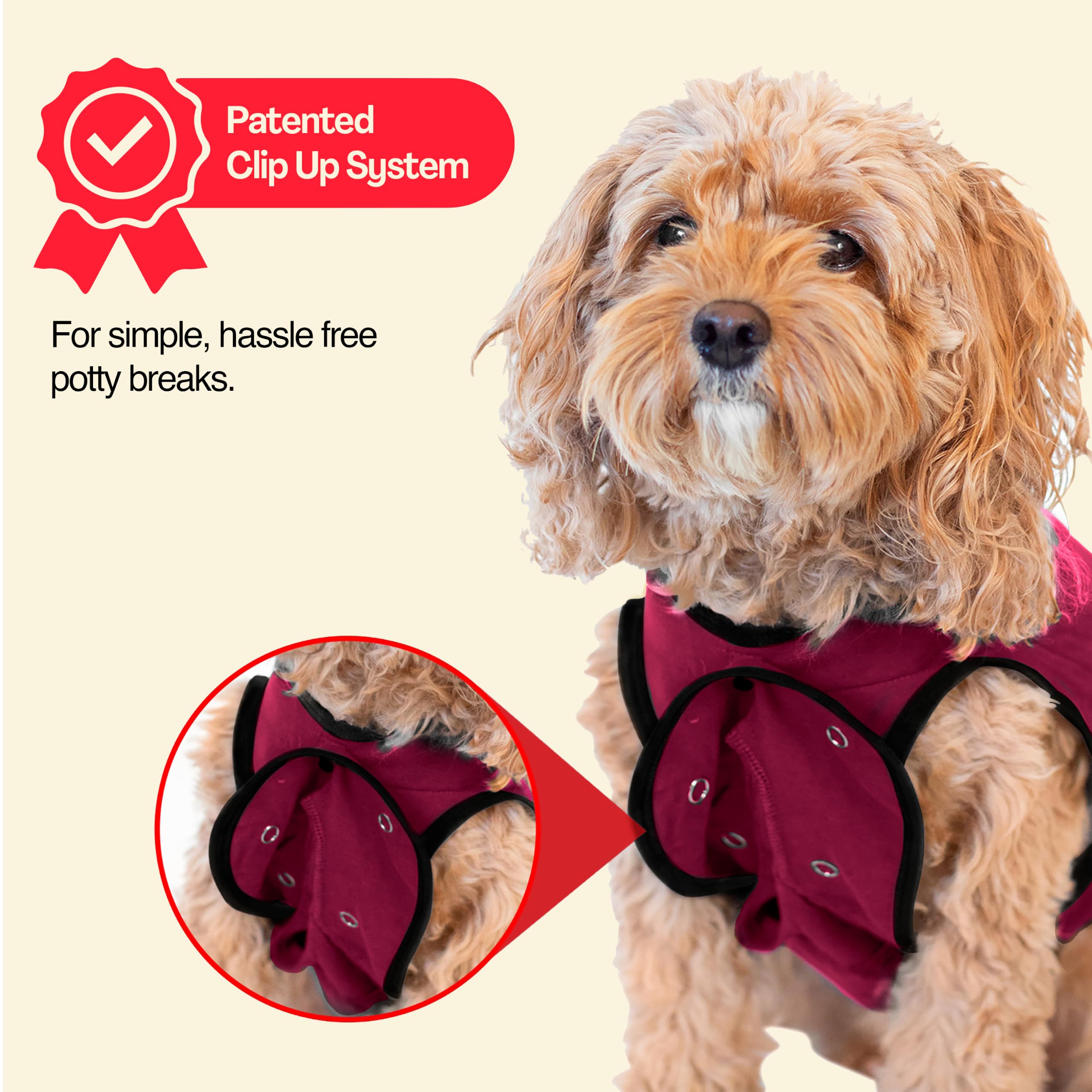 BellyGuard comparaison avec collerette, plus de liberté de mouvement