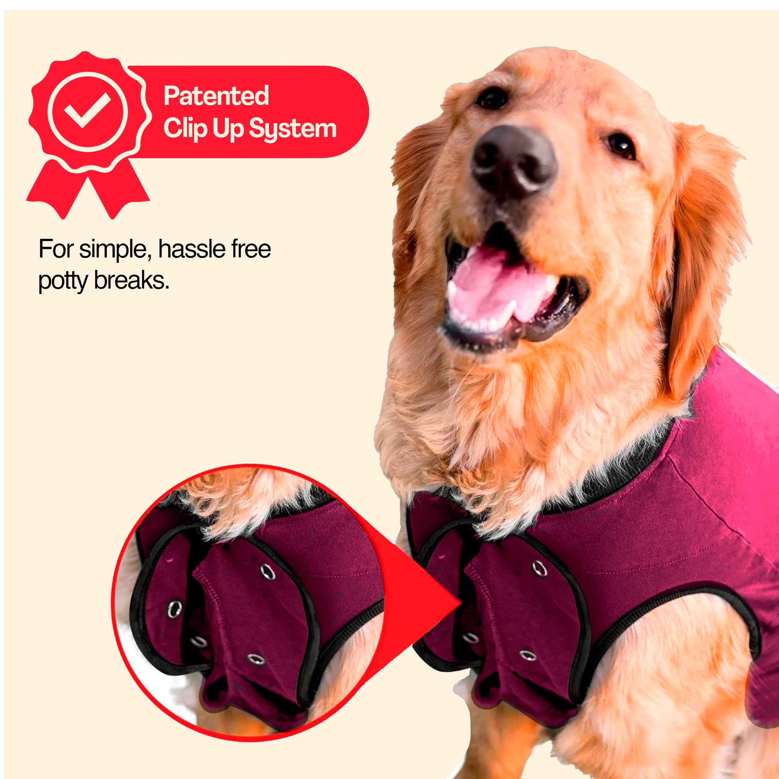 BellyGuard comparaison taille montrant proportions et ajustement selon race