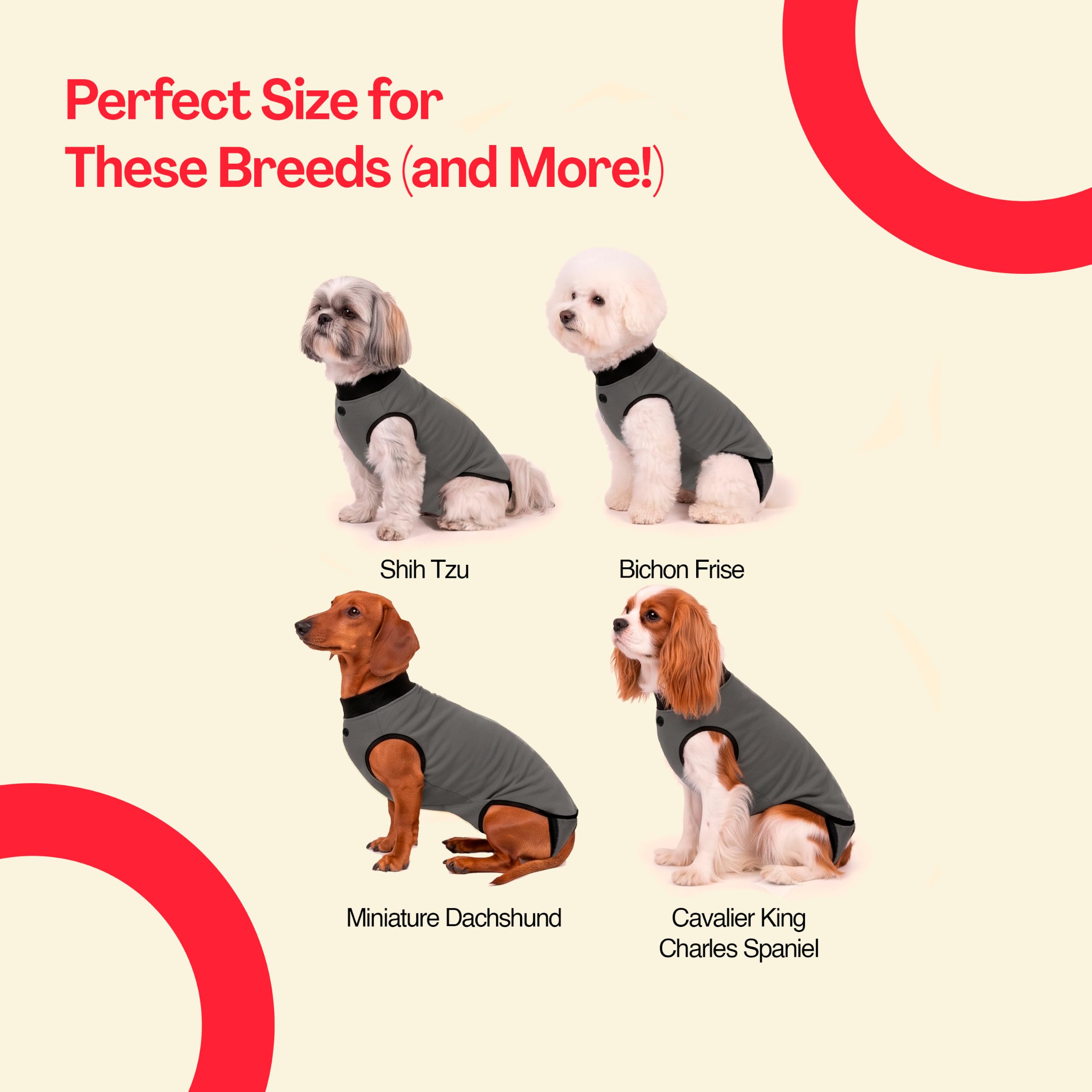 BellyGuard comparaison échelle montrant tailles pour chiot et chien adulte
