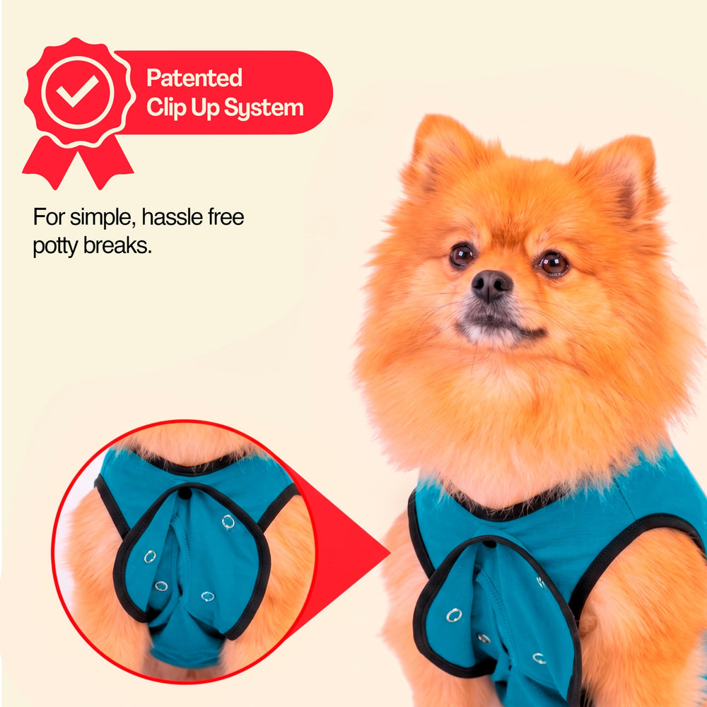 BellyGuard comparaison de tailles montrant choix adapté au gabarit