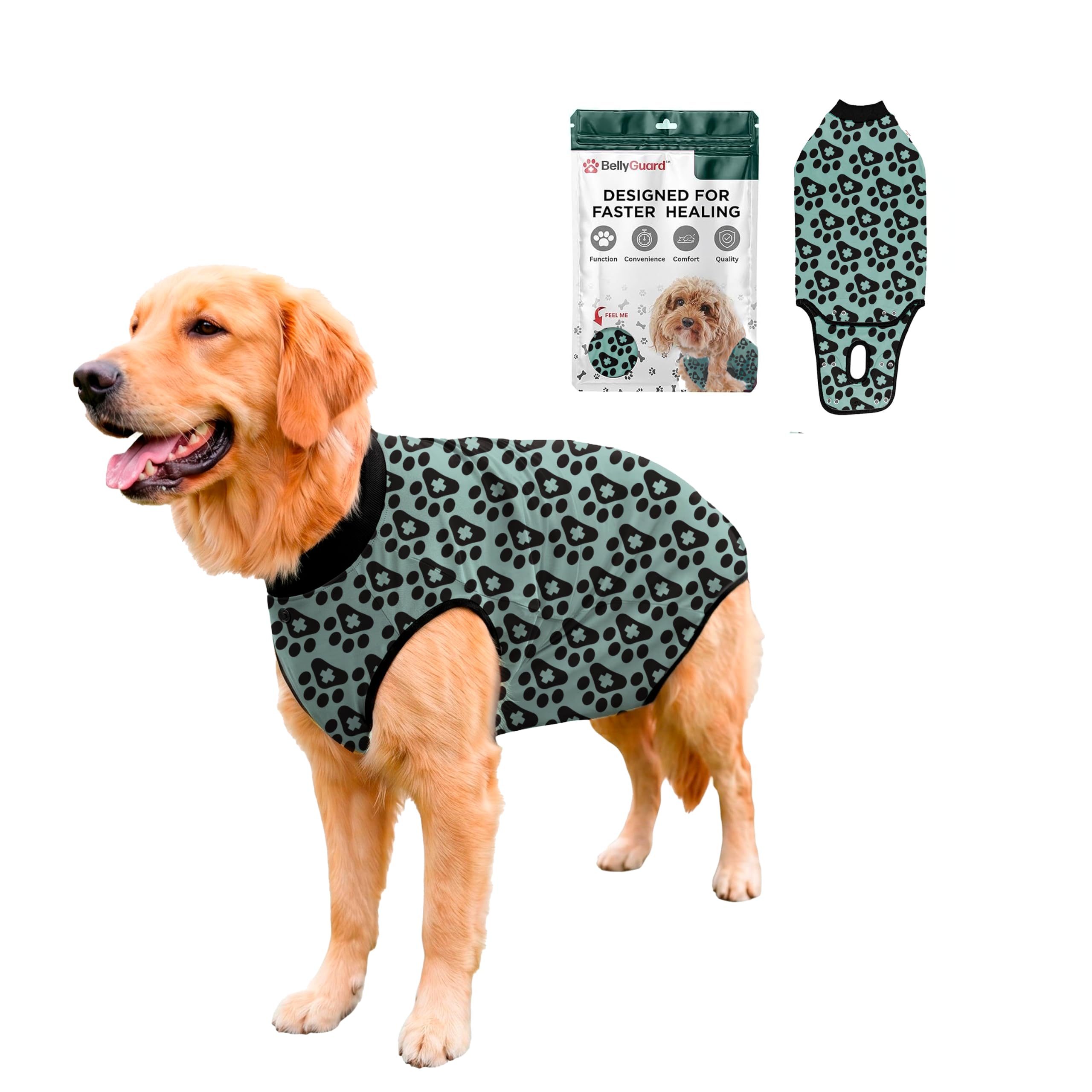 BellyGuard face avant montrant protection complète et confort