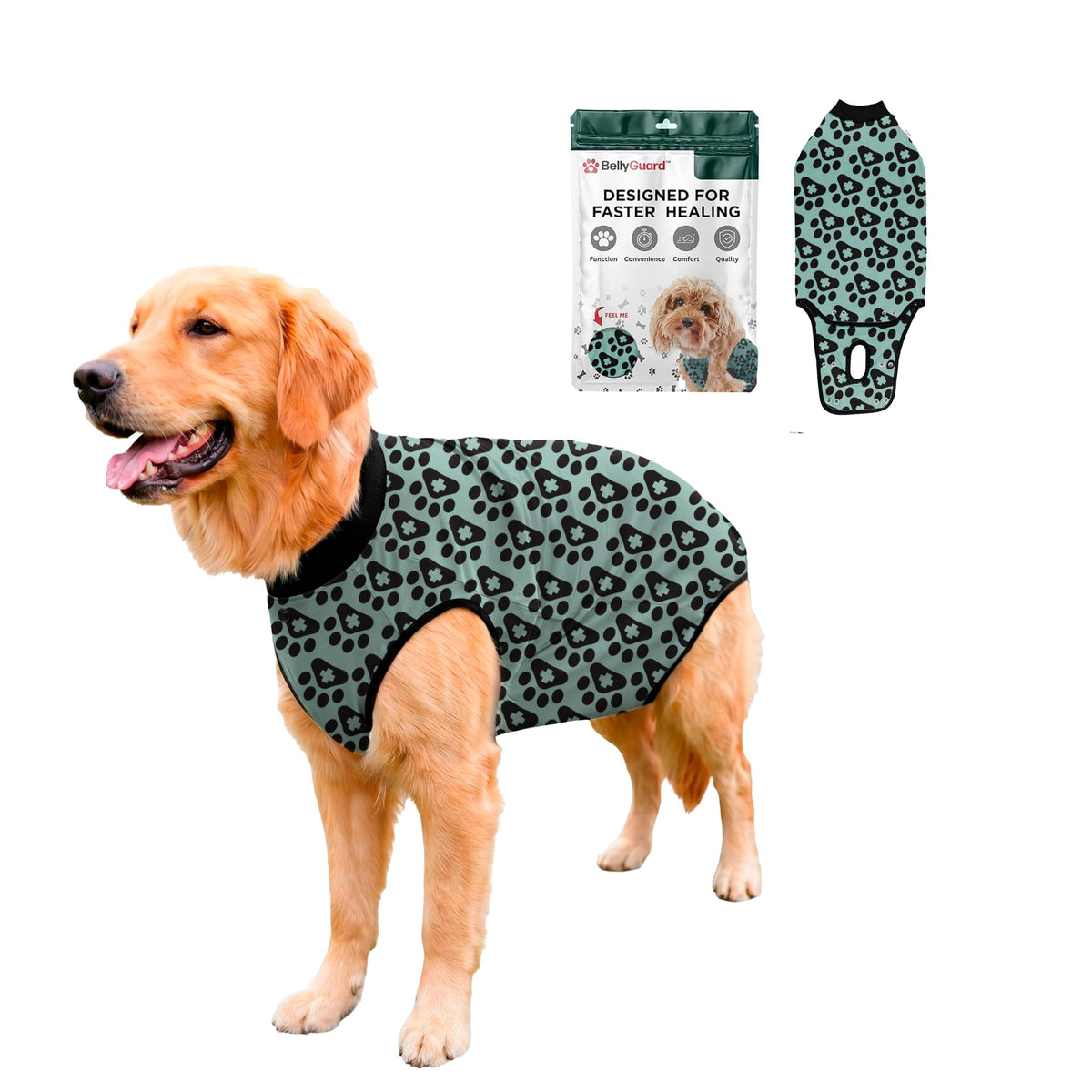 BellyGuard face avant montrant protection complète et confort