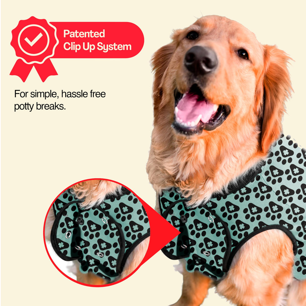 BellyGuard gros plan des coutures plates pour éviter frottements
