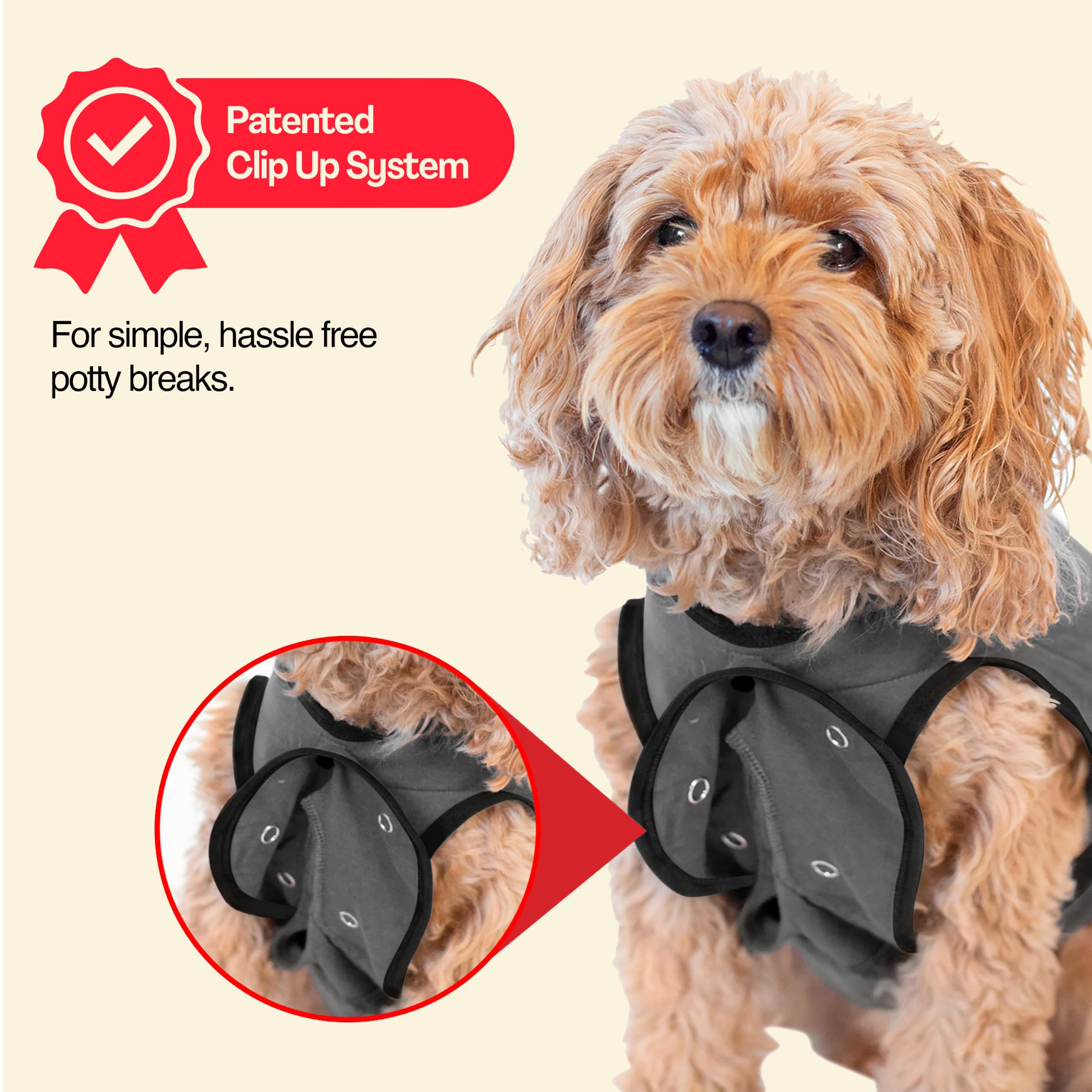 BellyGuard démonstration d'enfilage par la tête pour installation rapide