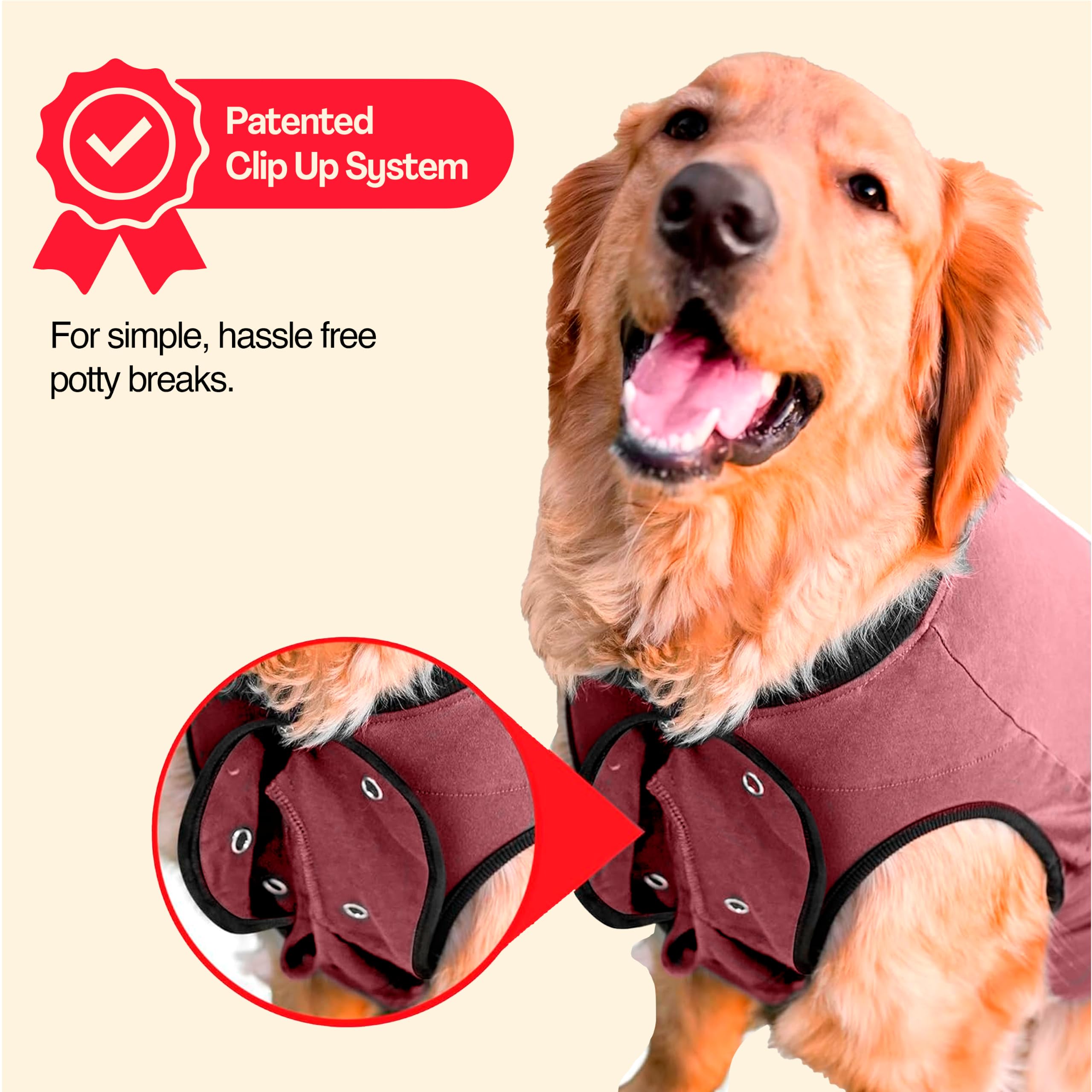 BellyGuard détail des coutures protégées offrant durabilité et confort