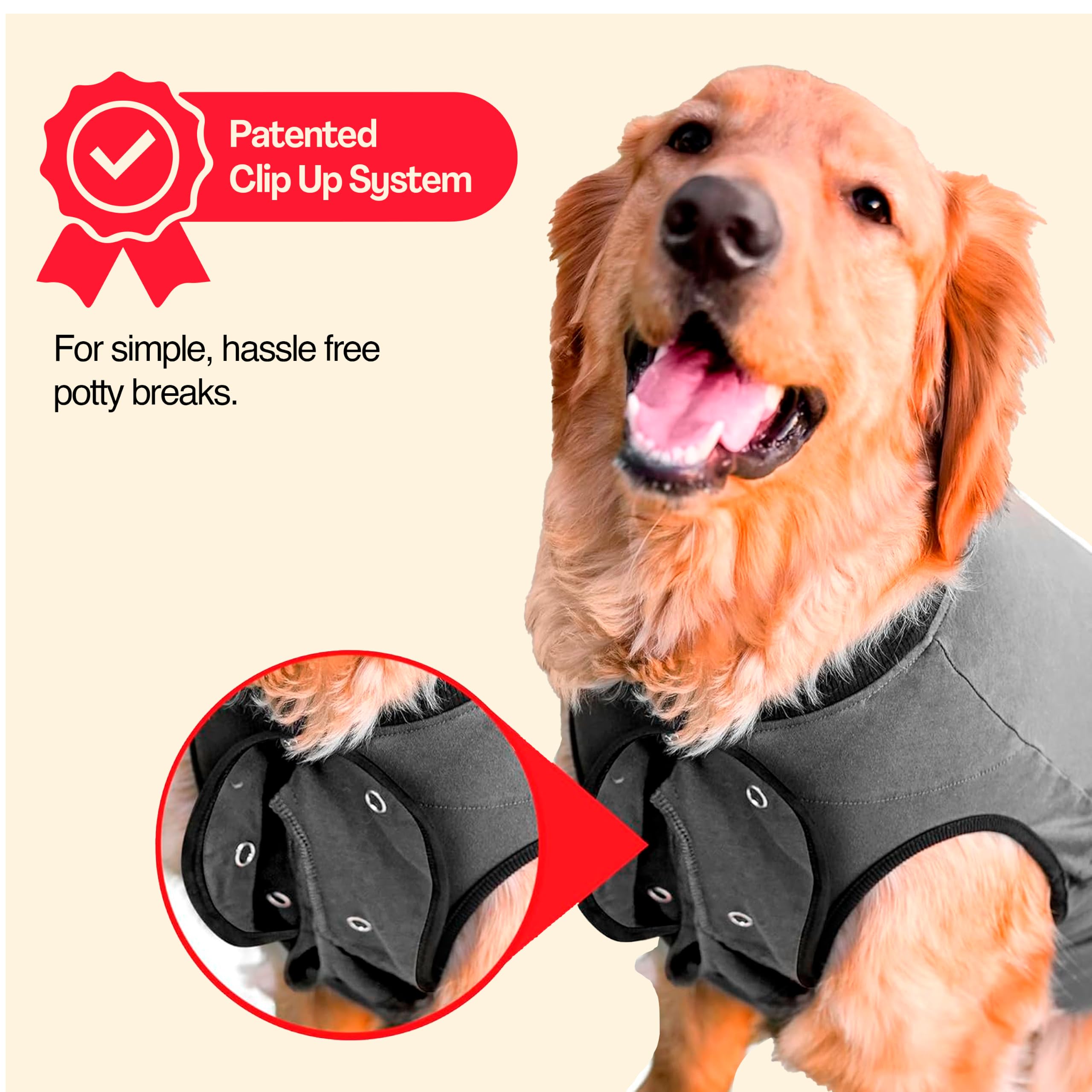 BellyGuard rabat relevé facilitant les pauses toilette sans retirer la tenue