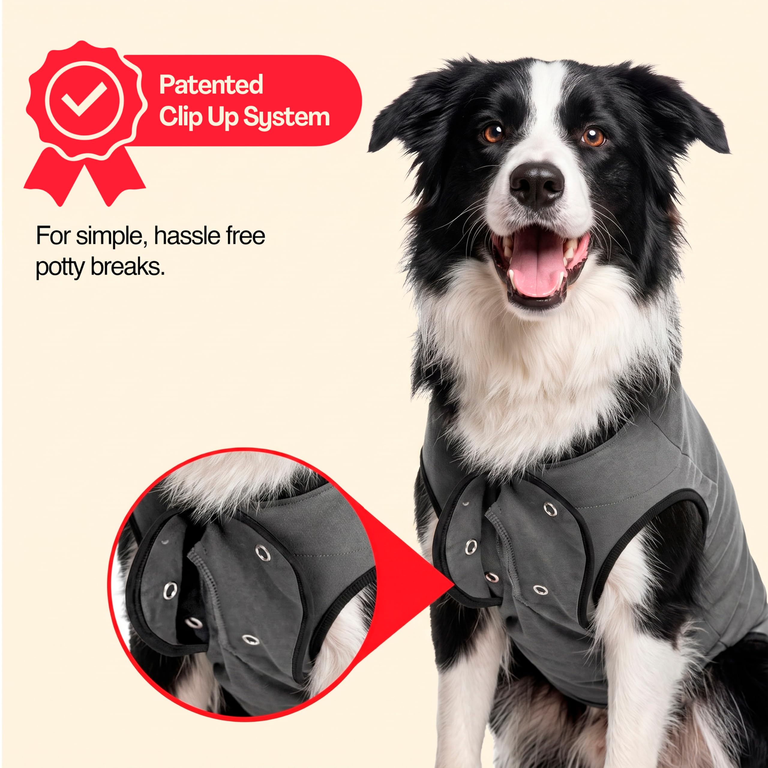 BellyGuard démonstration d’usage pour pauses toilettes pratique
