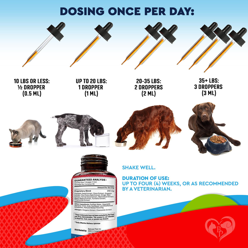 Beloved Pets chien adulte près du propriétaire, favorise confort digestif
