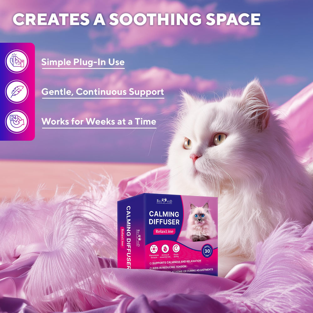 Beloved Pets diffuseur en usage dans un salon favorisant un foyer paisible entre chats