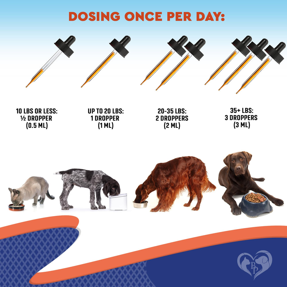 Beloved Pets en utilisation avec chien confort digestif amélioré
