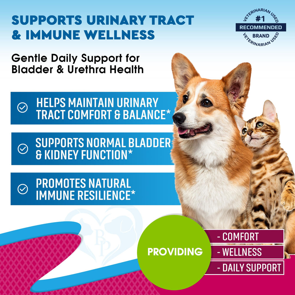 Beloved Pets flacon avec compte‑gouttes pour un dosage précis