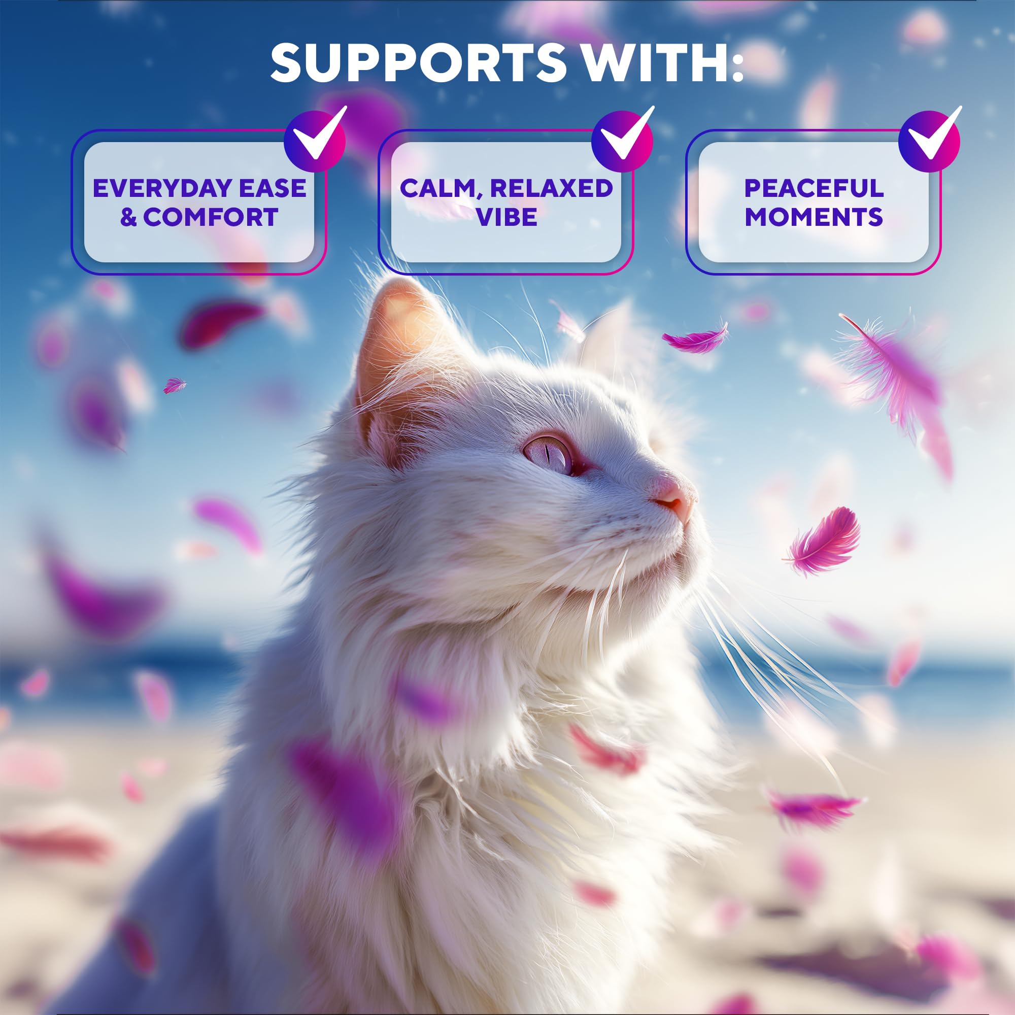 Beloved Pets recharge ouverte montrant liquide et facilité de remplacement sûr