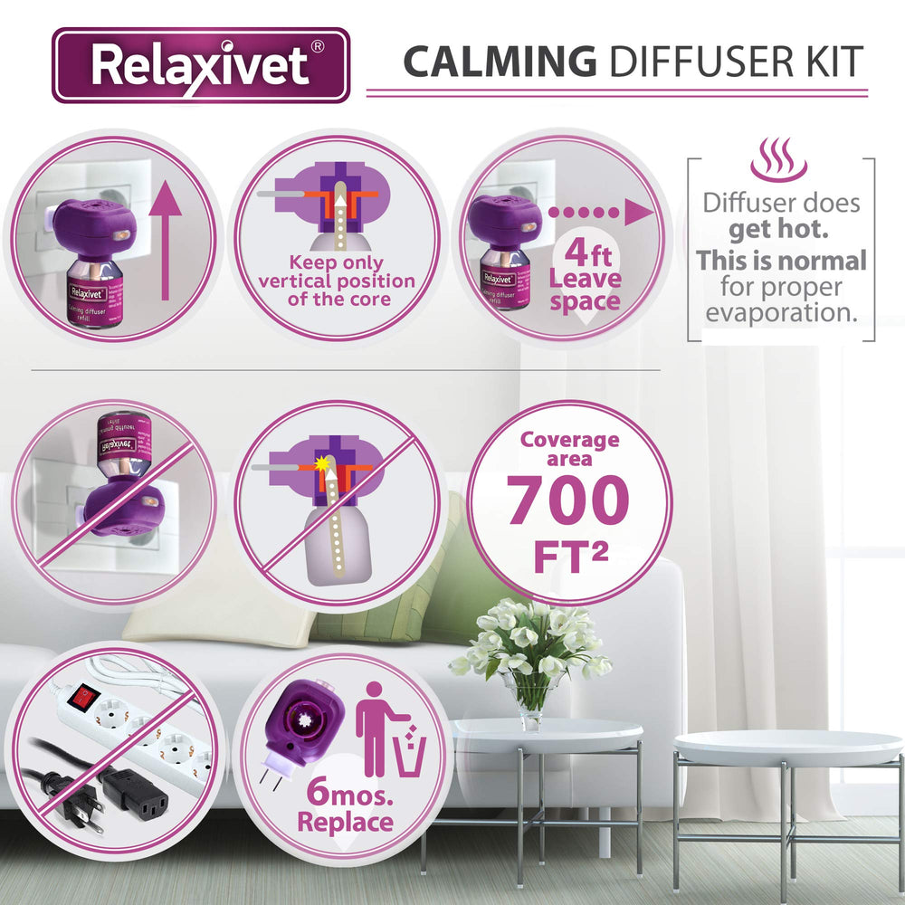 Beloved Pets recharge emballage posé au sol indiquant contenu pratique