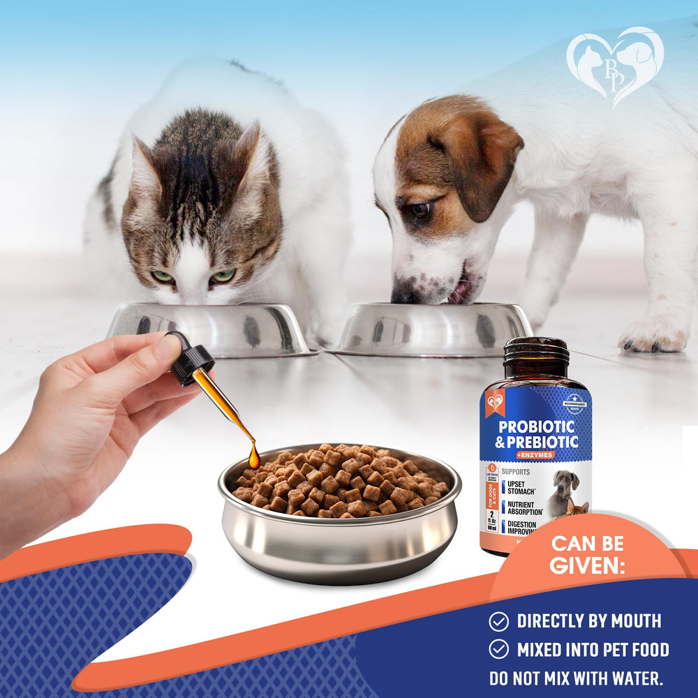 Beloved Pets texture liquide gros plan pour mélange homogène