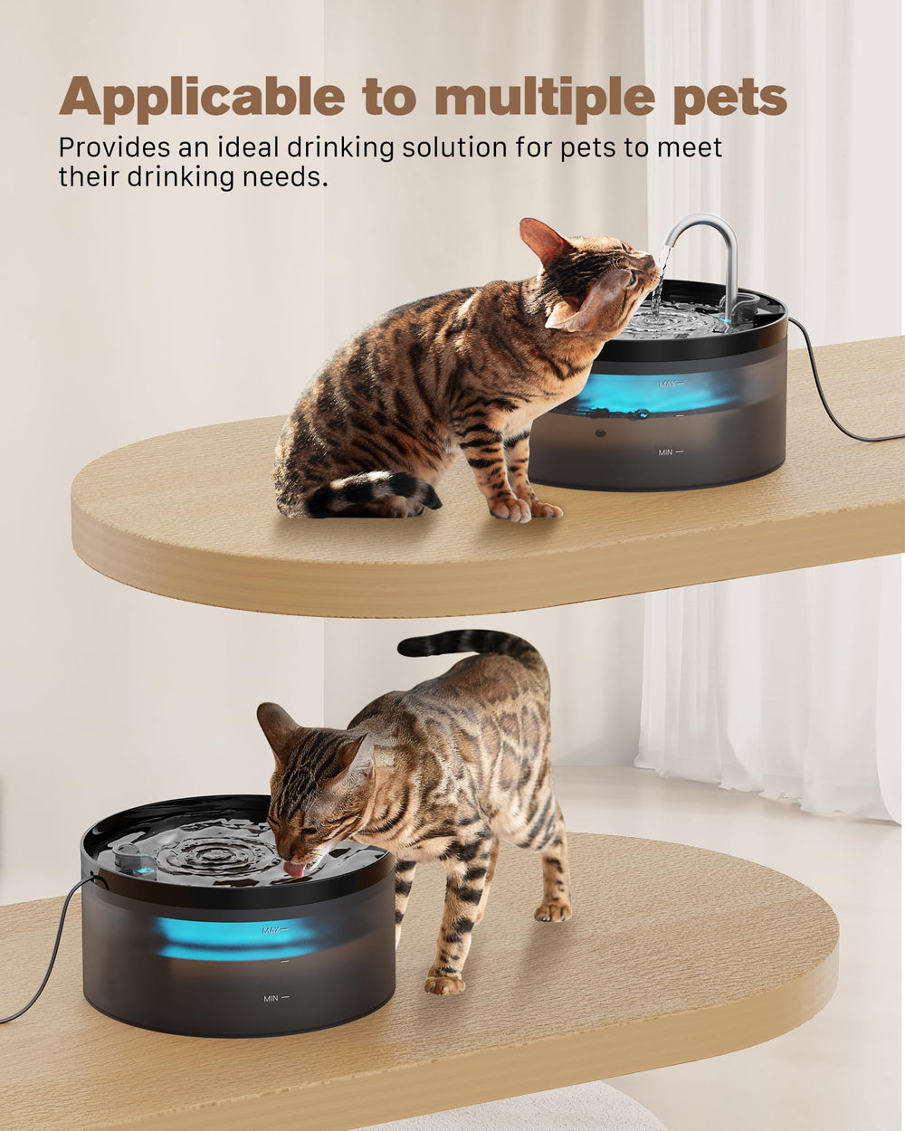 BEMOONY comparaison de taille avec une main pour visualiser la capacité 3,2 L