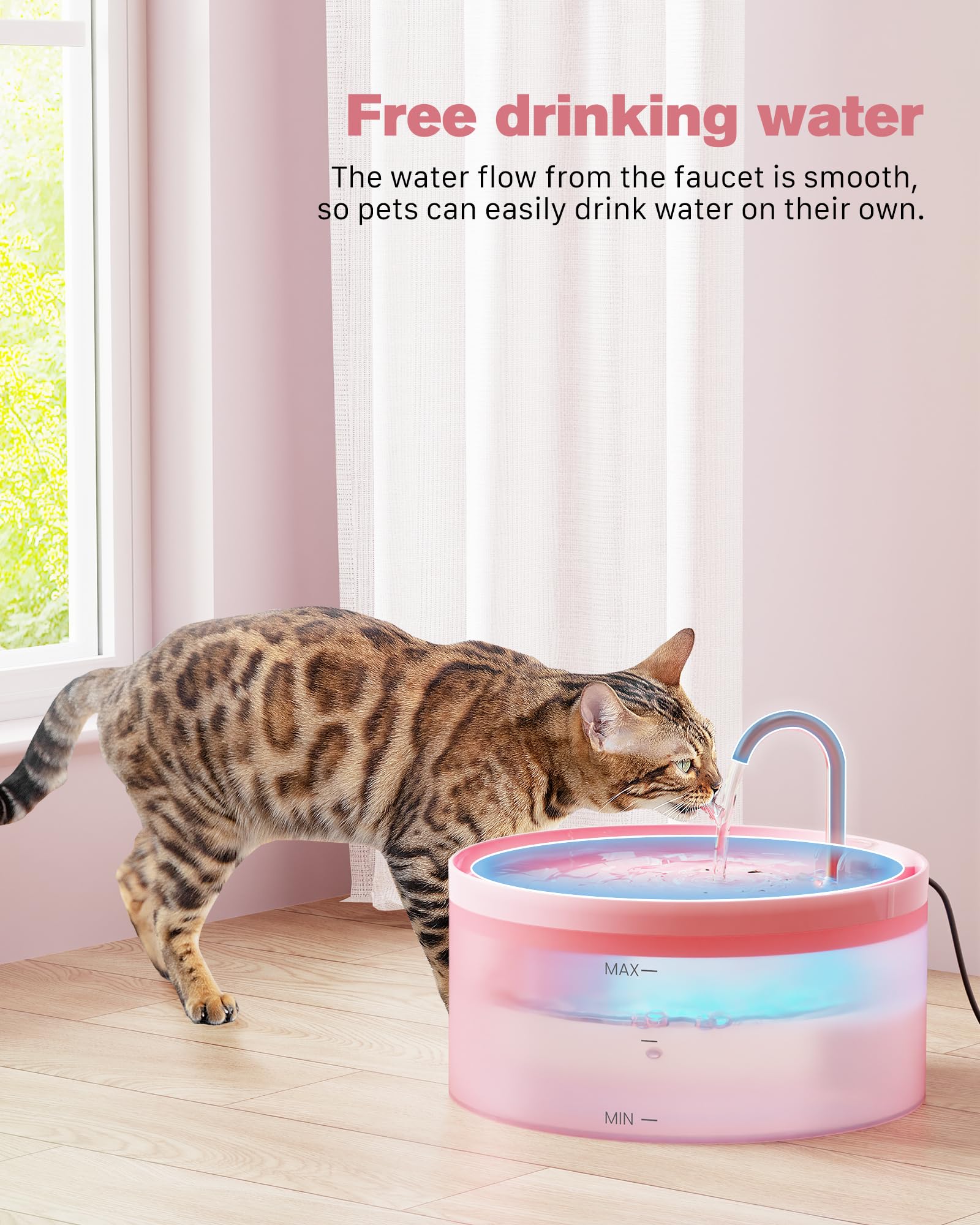 BEMOONY fontaine en usage avec chat buvant, hydratation encouragée