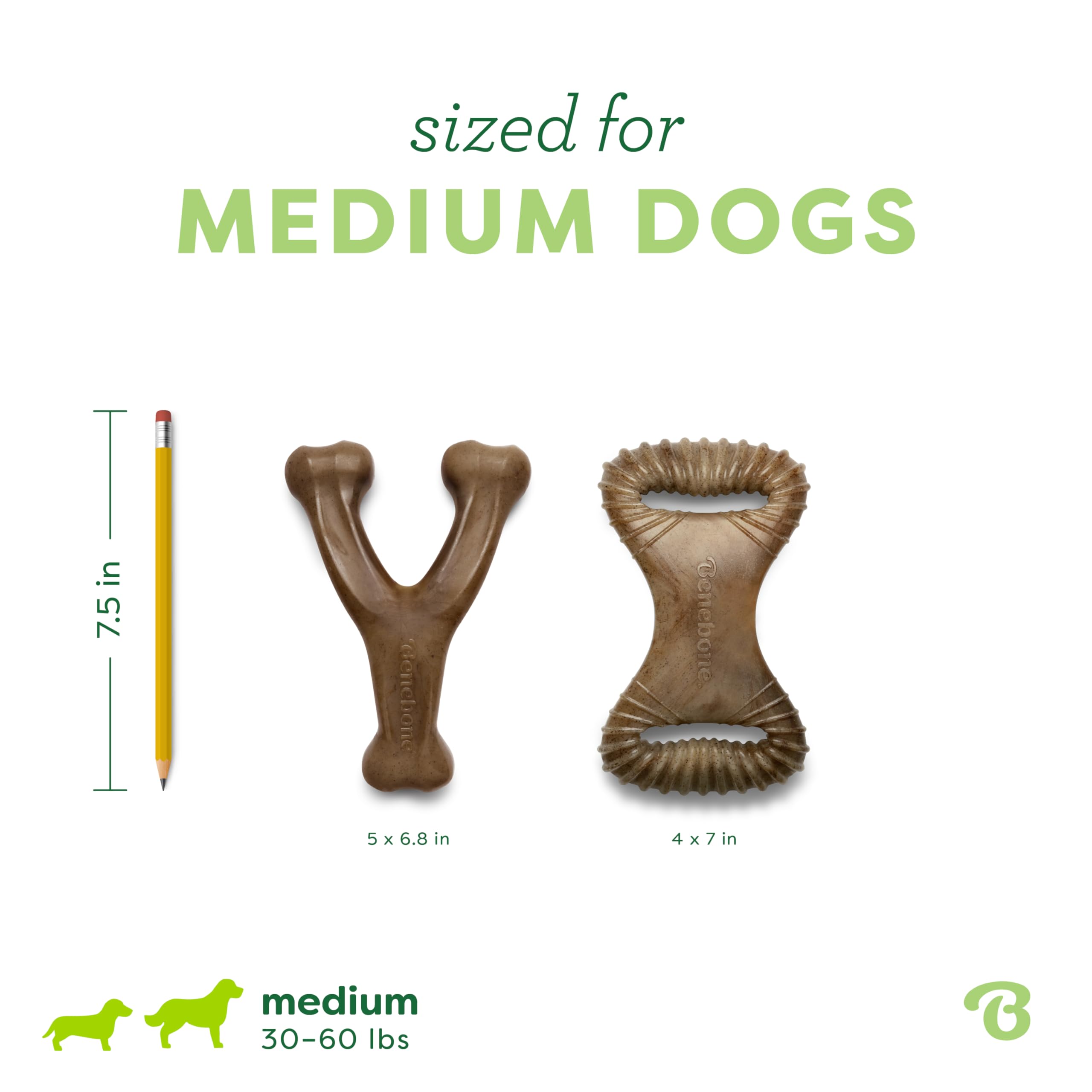 Comparaison de taille Benebone avec main et ruban, montre l'échelle pour chiens medium