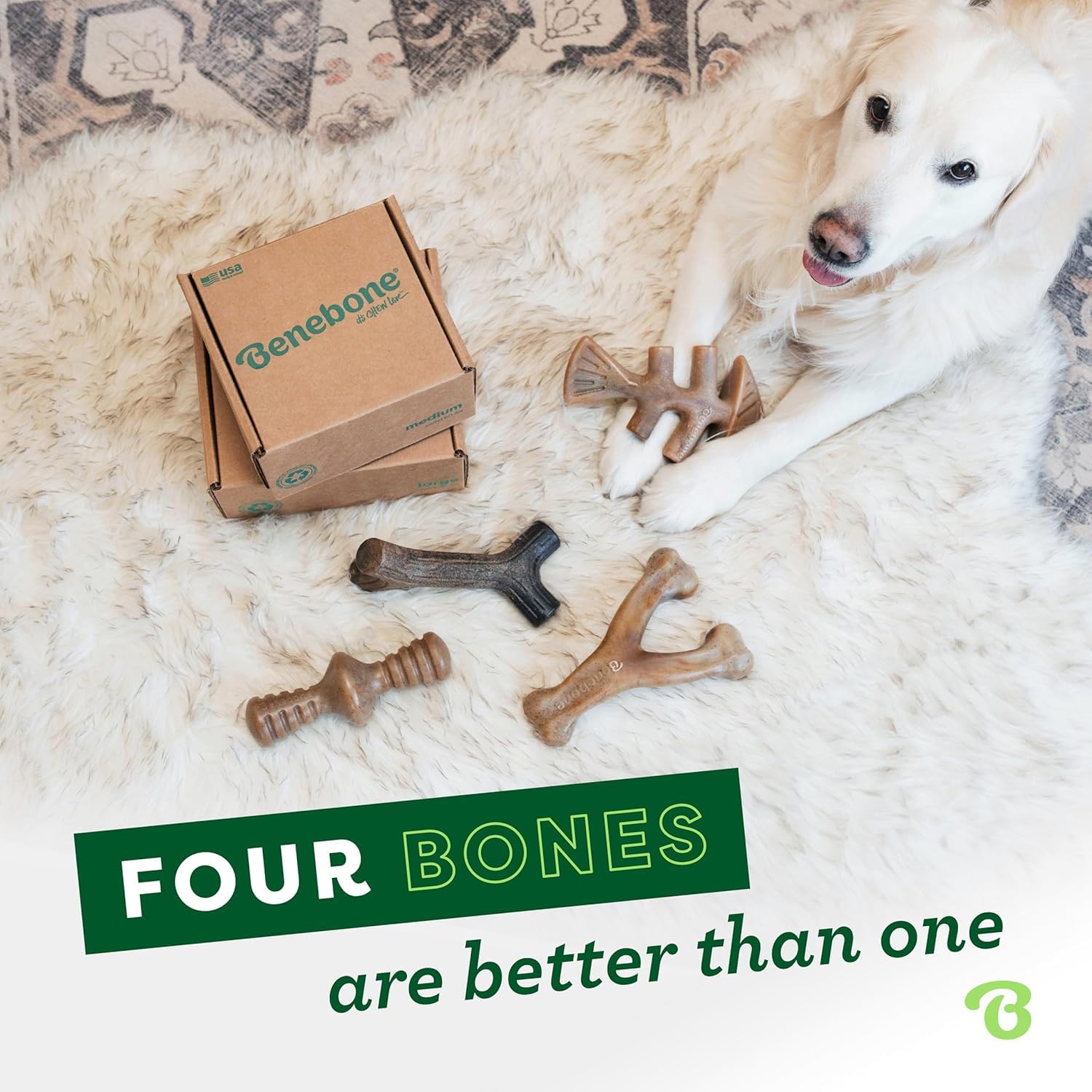Comparaison taille Benebone Small à côté d’une patte de petit chien