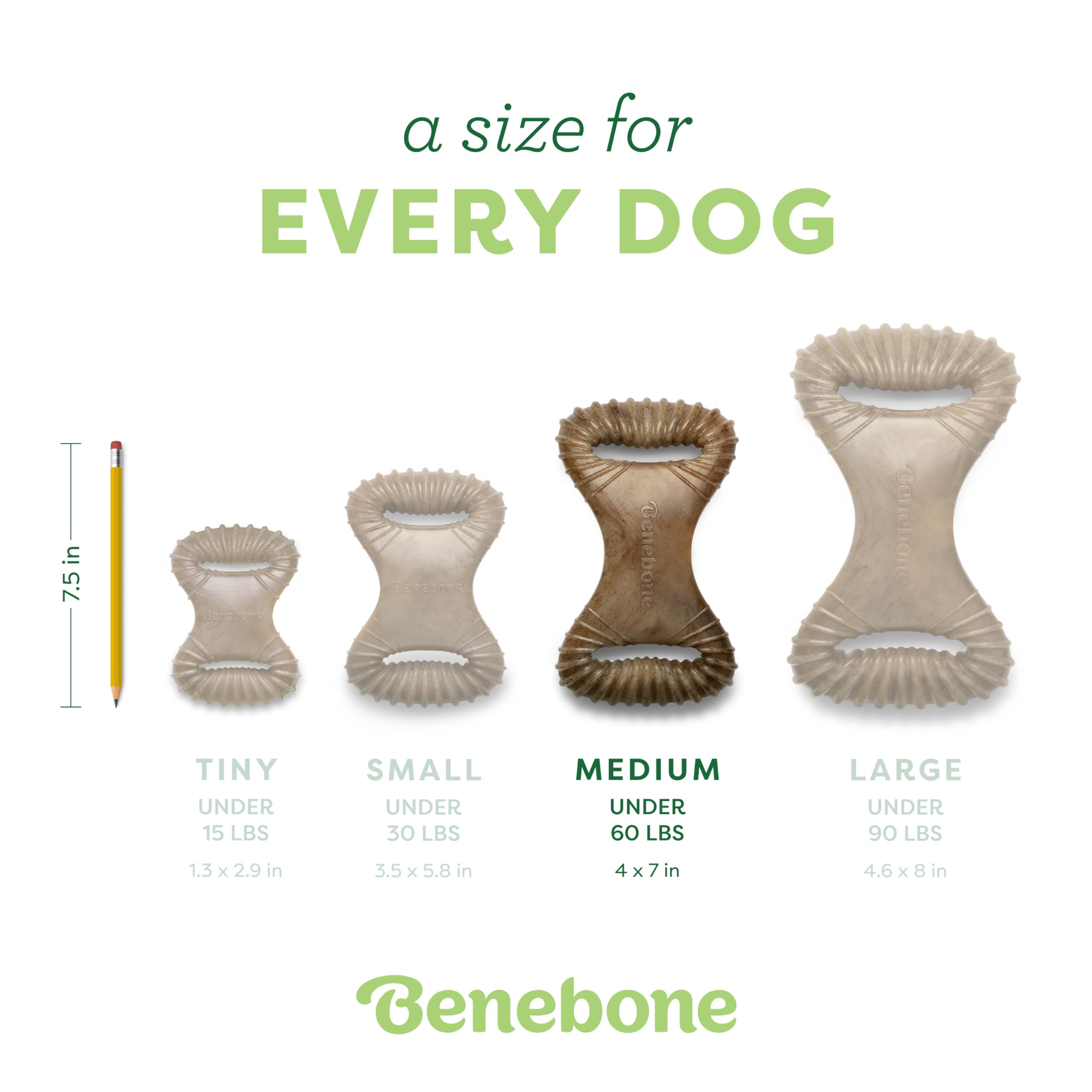 Chien tenant Benebone Dental Chew en mâchant, réduit l'ennui