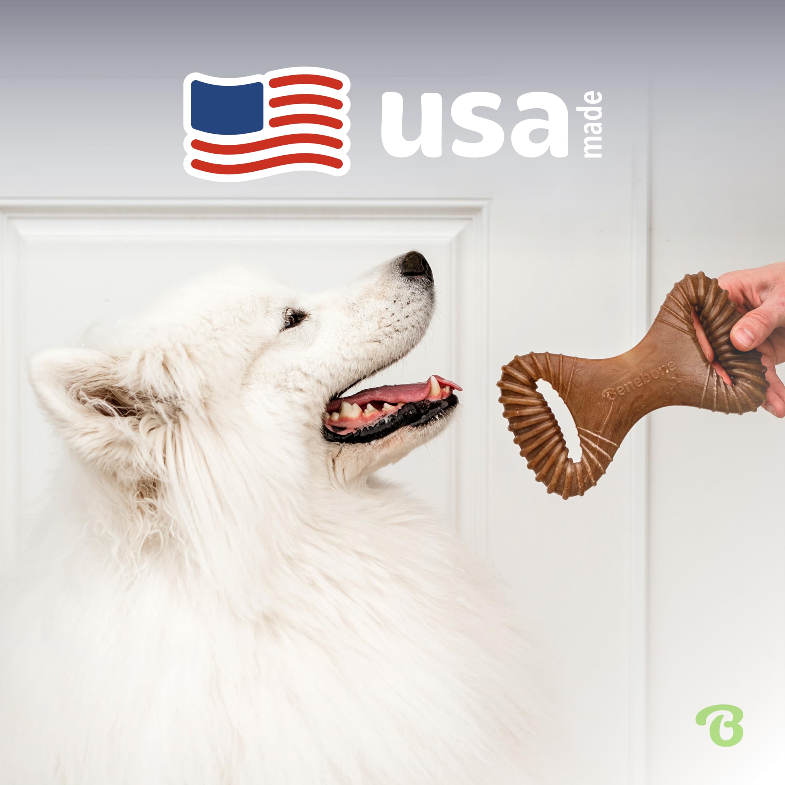 Comparaison d'échelle Benebone Medium indiquant taille adaptée au chien