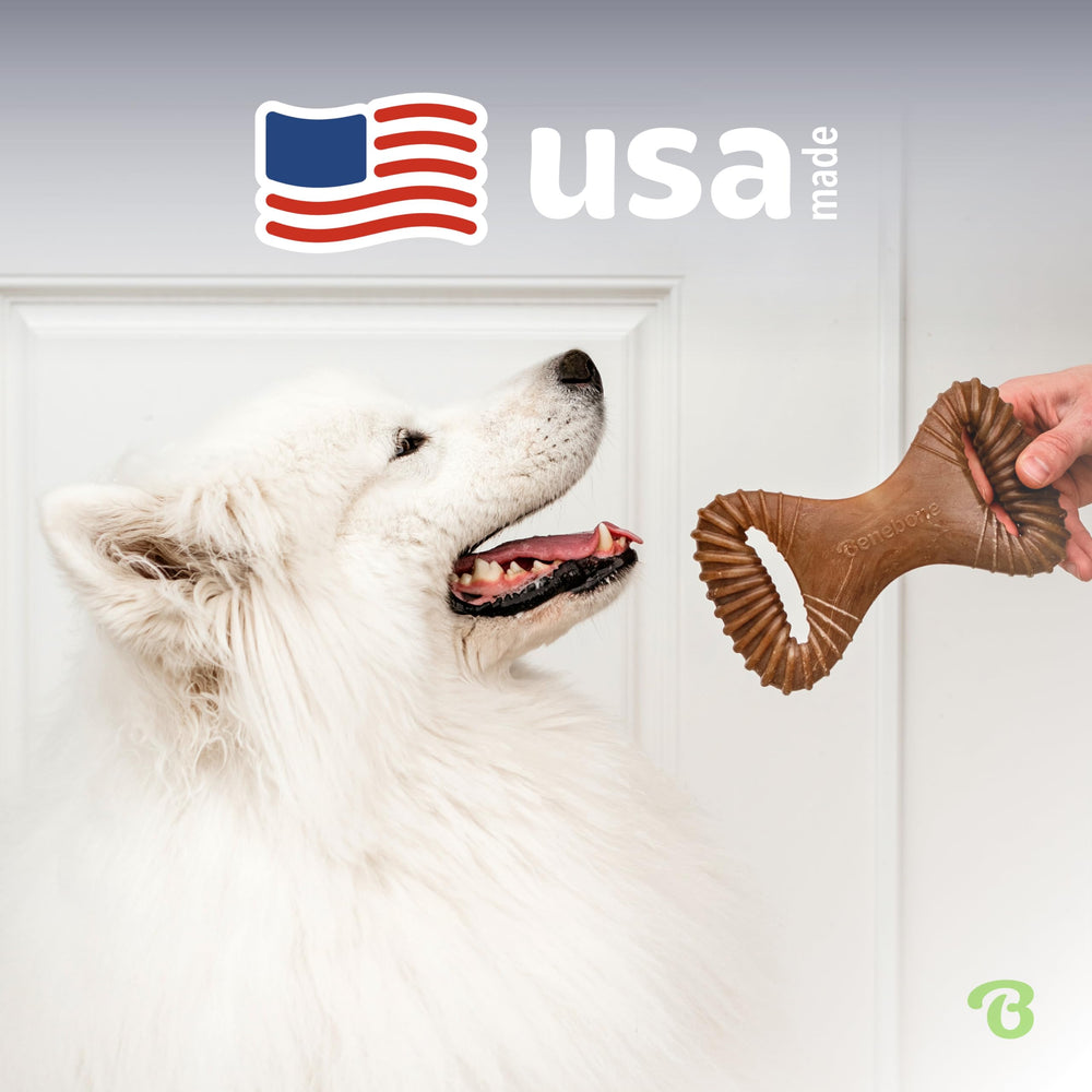 Comparaison d'échelle Benebone Medium indiquant taille adaptée au chien