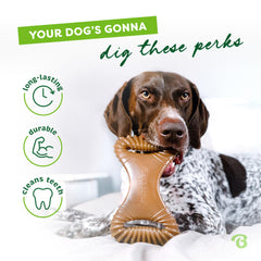 Benebone tenue facilitée par la forme pour une préhension naturelle du chien