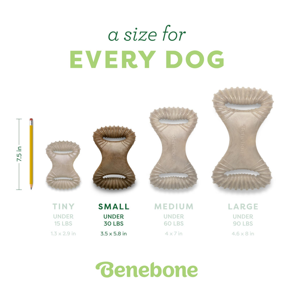 Chien mâchant Benebone pour distraction et réduction ennui
