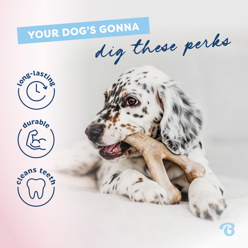 Détail des rainures Benebone et empreinte, meilleure préhension pour chiots