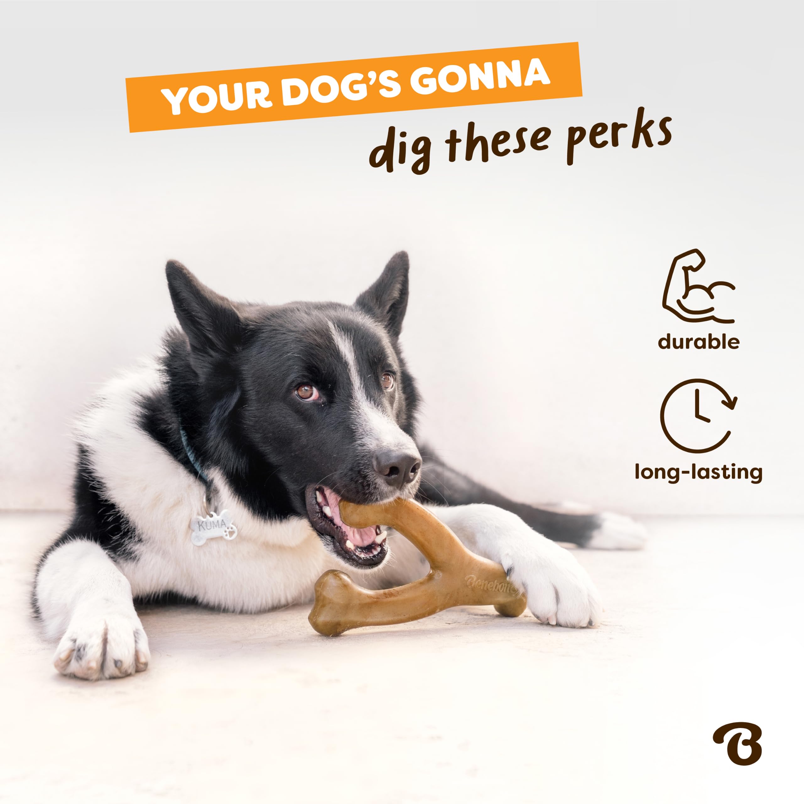 Comparaison d'échelle Benebone Small avec patte de chien pour dimension visuelle