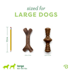 Chien tenant Benebone en mâchant, Benebone favorise concentration et calme