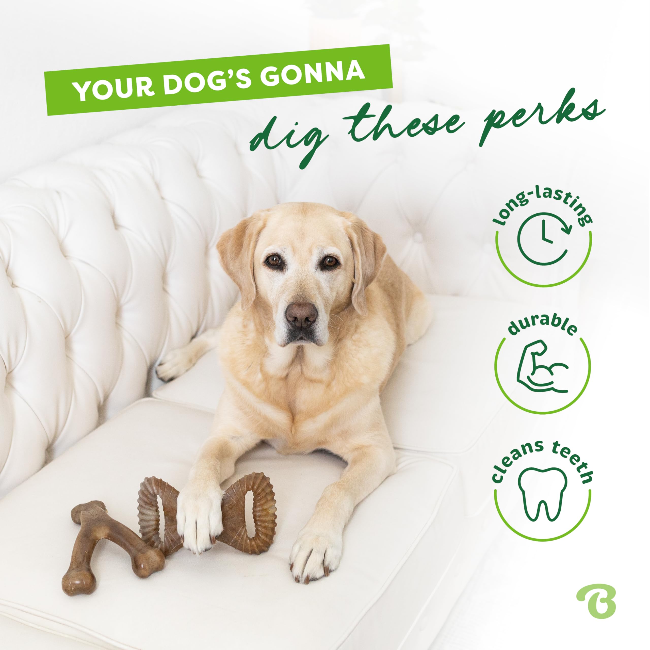 Chien tenant Benebone avec la patte, stimulateur mental et divertissement prolongé