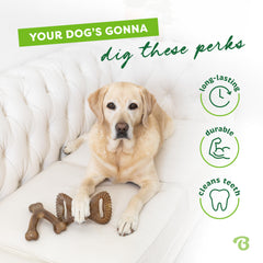 Chien tenant Benebone avec la patte, stimulateur mental et divertissement prolongé