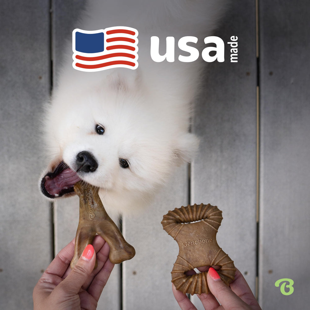Benebone étiquette Made in USA garantissant robustesse et traçabilité