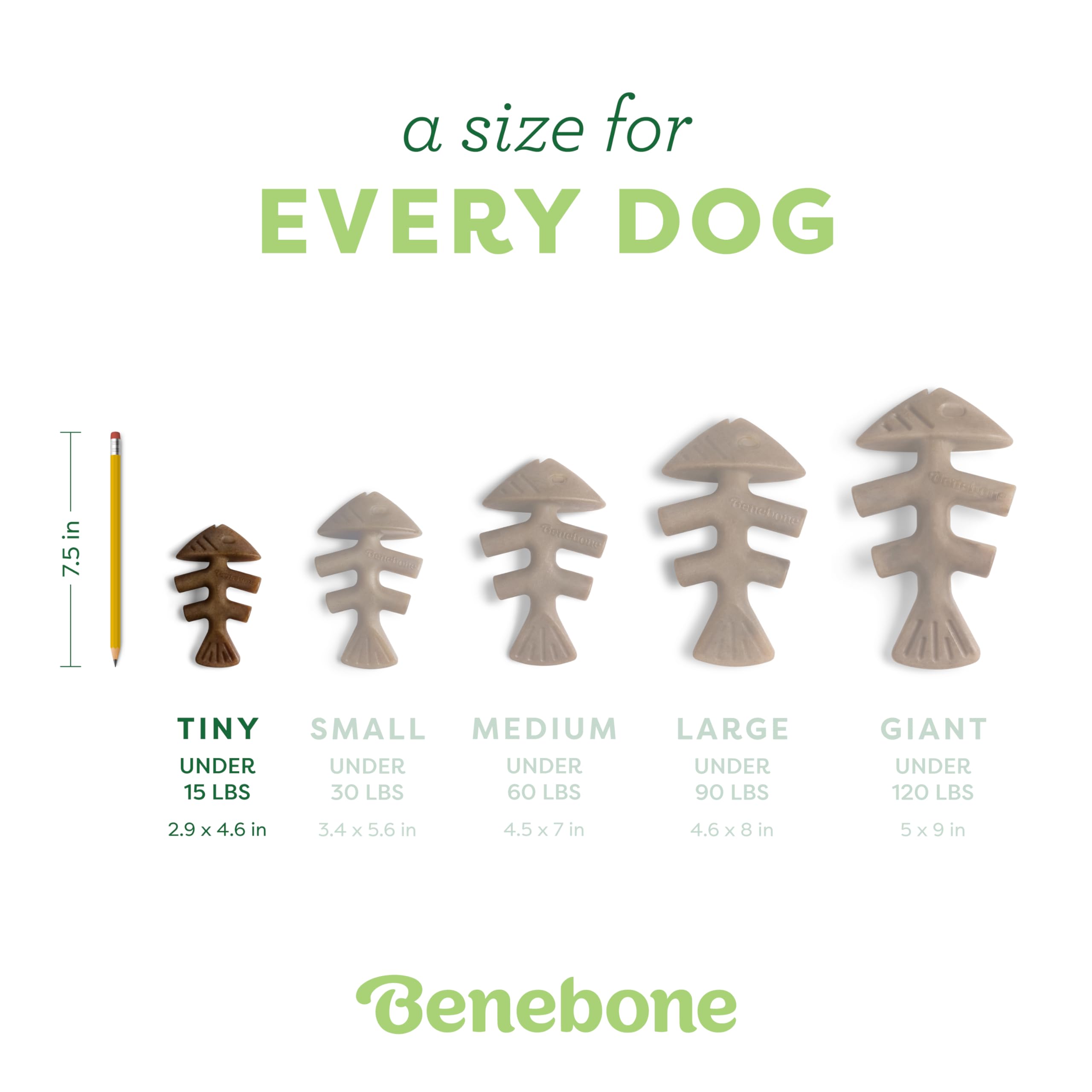 Benebone Fishbone comparaison de taille avec main pour dimension visuelle